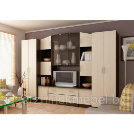 Стенка Макарена ДСП (венге/дуб). Производство  Россия мд